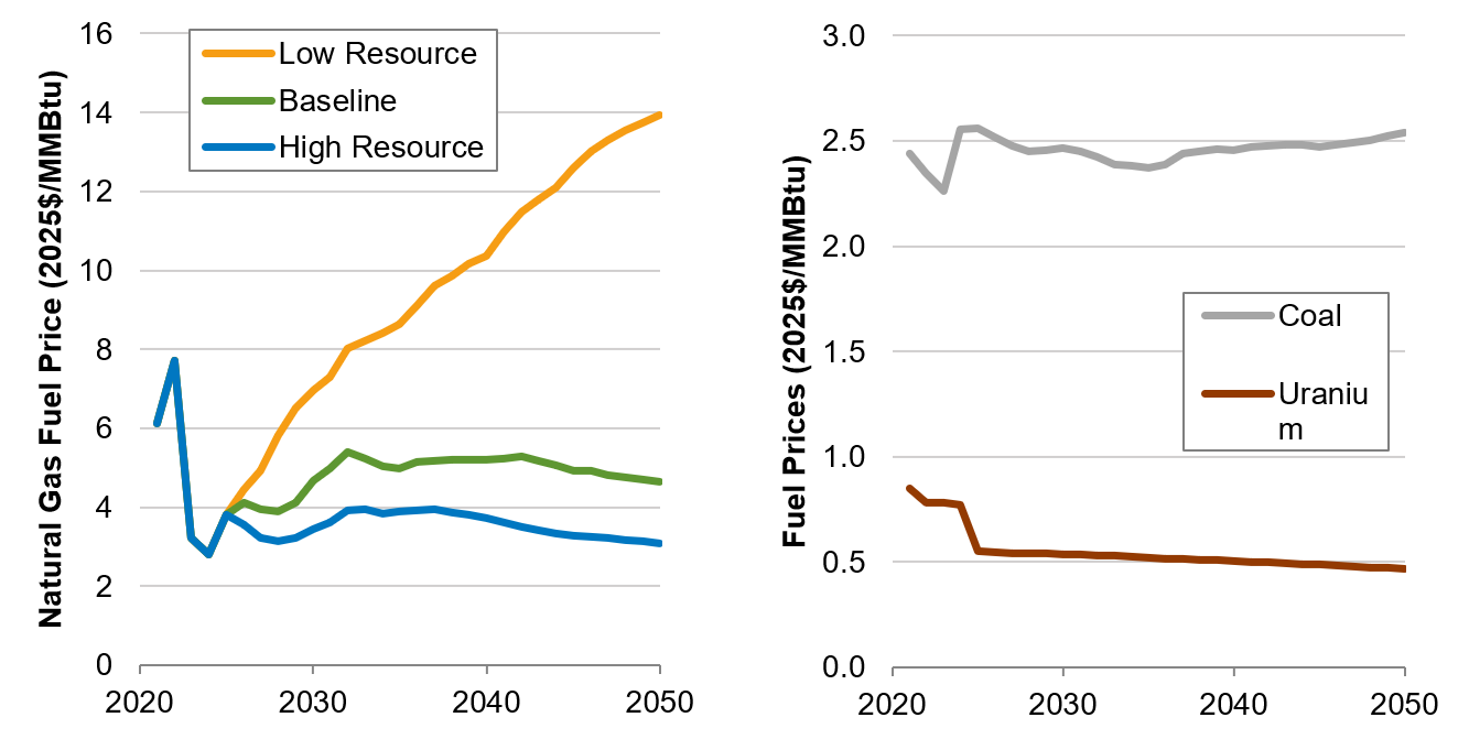 _images/input-fuel-price-assumptions.png